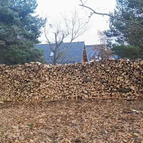 Ułożony stos drewna po wycince